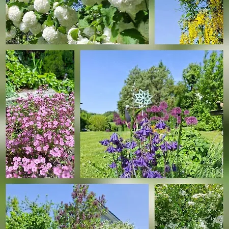 Am Vogelsteig *